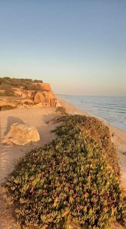 הוילה אלבופיירה Alfamar V3 Falesia Beach מראה חיצוני תמונה
